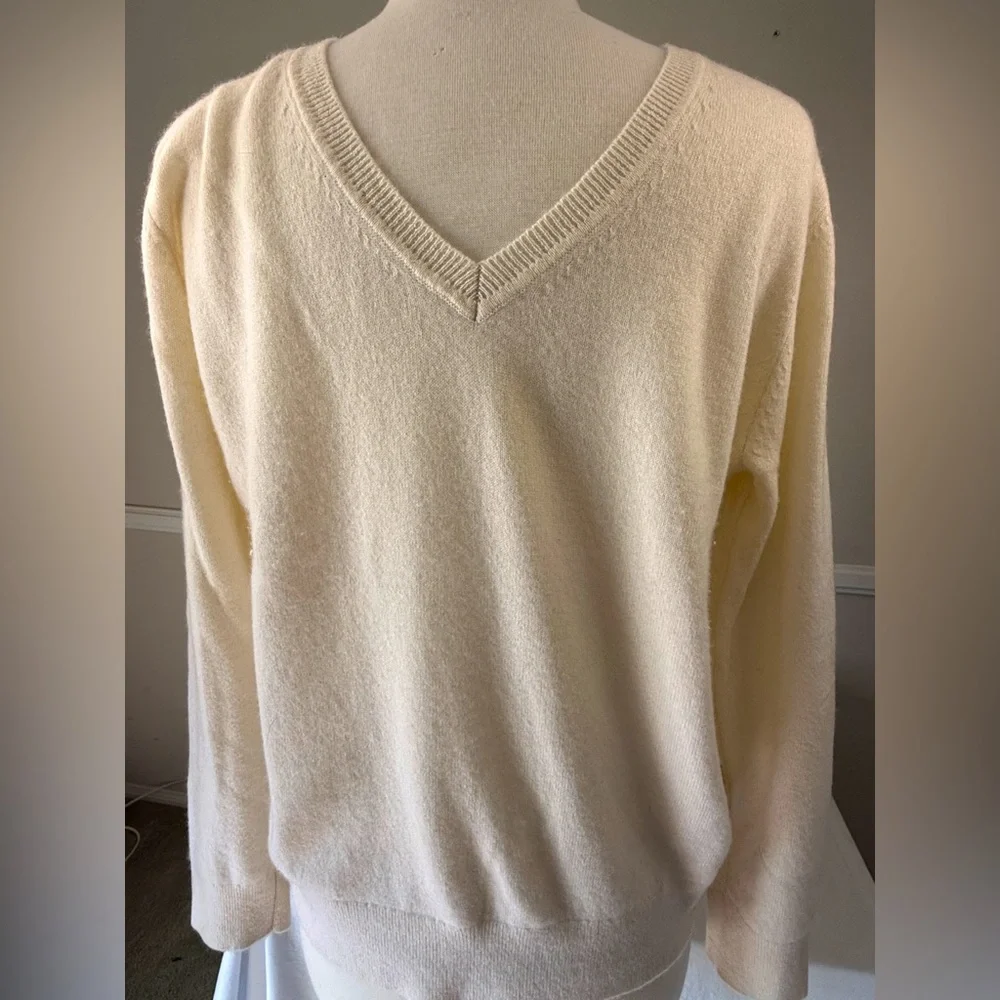 Sweet, Fuzzy Quince Men’s Cashmere Sweater, V-Neck. L